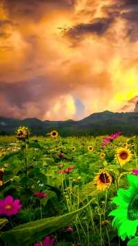 世界万物都在治愈你，唯独自己不能放过自己