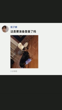 这是要准备登基了吗#好家伙我直接好家伙 #百万网友赐神评 #搞笑 