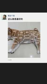 这么做是最好的#好家伙我直接好家伙 #百万网友赐神评 #搞笑 