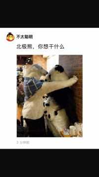 北极熊，你想干什么#好家伙我直接好家伙 #百万网友赐神评 #搞笑 