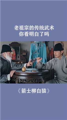 老祖宗的传统武术，你看明白了吗？