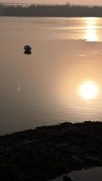 在第十三届中国摄影节期间，到天鹅湖一睹天鹅的芳姿…🌹🌹🌹🌹🌹🌹🌹🌹🌹