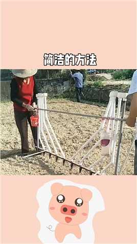 广东阳春农村人自制的种花生神器，这样不用打行不用弯腰，站着轻轻松松把花生米种下去了