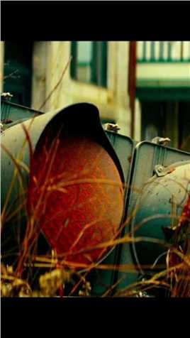 母亲独自在家即将生产，亲人协力共救母亲。#寂静之地