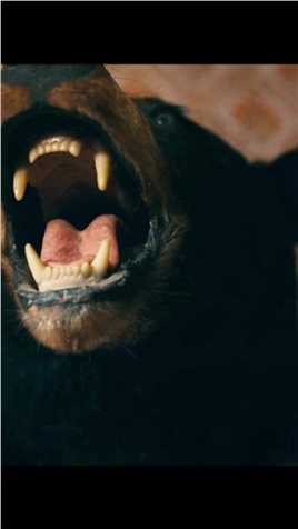 大脚怪野人在小镇出没，却爱上了一名美女，本片高能。#大脚怪