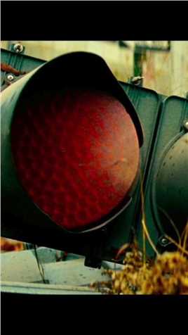 神秘怪物来袭，没有眼睛，全靠听声辩位。#寂静之地 