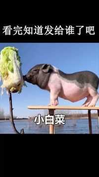 等你，不见不散#百万视友赐神评