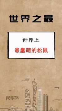 这家伙应该是二哈生的吧！