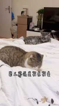 上一秒其乐融融，下一秒就闹脾气了