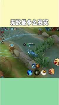 王者荣耀:无敌的寂寞是你们体会不到的。