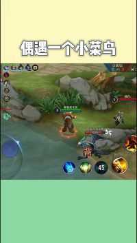 王者荣耀:偶遇一只打野的小菜鸟