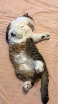 麻麻在读书，念念陪着陪着就睡着了