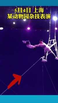 惊险的一幕上海某动物园杂技表演，演员失误脱手，幸而无碍