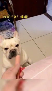 骂骂咧咧的一天又开始了！