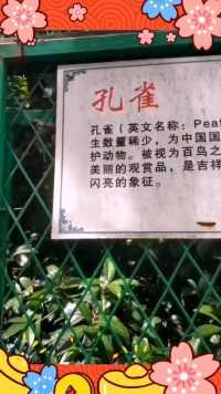 来微视，玩转互动视频。