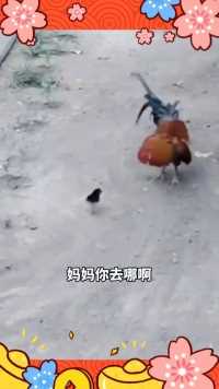 来微视，玩转互动视频。