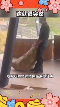 来微视，玩转互动视频。