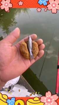 来微视，玩转互动视频。