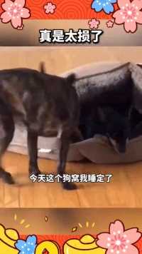 来微视，玩转互动视频。