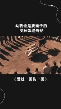 # 动物也是要面子的，更何况是野驴