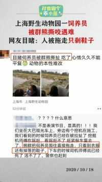 上海野生动物园一饲养员被群熊撕咬遇难，网友目睹，人被拖走只剩鞋子