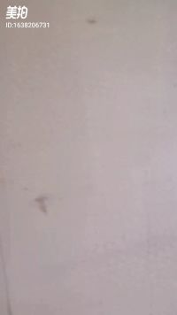 来微视，玩转互动视频。