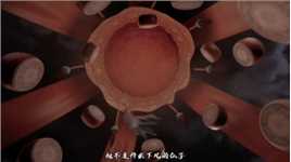 峡谷四美之一杨玉环@王者荣耀游戏推广