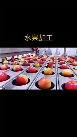 水果加工自动化