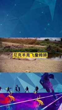 尼克羊晃飞詹姆狮名场面