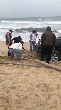 还有半小时涨潮，一辆车却凹陷在沙滩，众人帮助抬起！