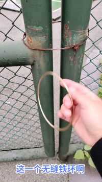 无缝金环穿越铁丝网，这是为什么？