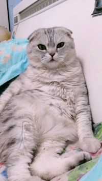 直勾勾的看着我，有话你就说呗