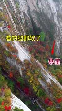 西岳华山，不愧是“天下第一险”，隔着屏幕腿都软！