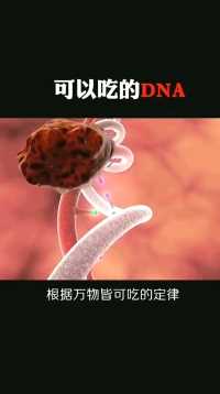 根据万物皆可吃的定律，DNA也是可以吃的！