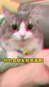 霸道总裁小公猫：她是我的！8306