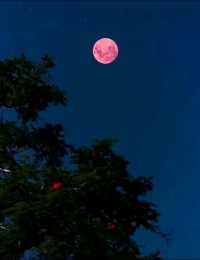 好漂亮的红月亮