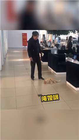 赖皮猫，像极了刚上班的你！明天放假吗？