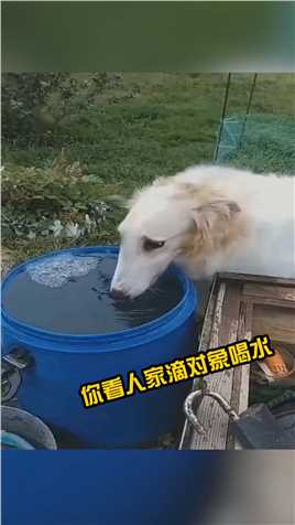 都说天生丽质难自弃，女汉子喝水真霸气