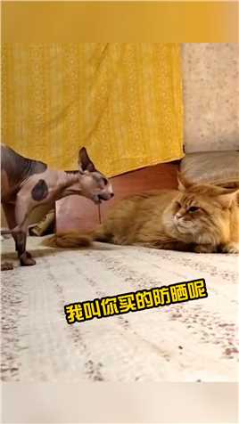 自己穿貂让女朋友挨冻的男人，我yue了