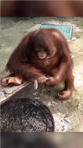 《看，女朋友的枯燥生活》