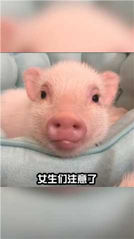 记录男朋友真实面目暴露全过程，真实！