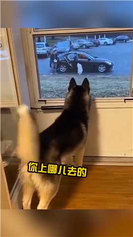 如何挽回坐豪车的女神？在线等