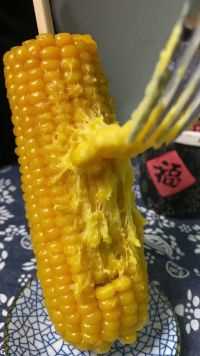 云南水果玉米成熟了  新鲜采摘 软糯香甜 甜美多汁云南水果玉米成熟了  新鲜采摘 软糯香甜 甜美多汁