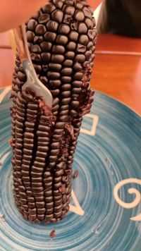 东北黑玉米成熟了  新鲜采摘 软糯香甜 甜美多汁