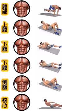 全方位腹肌训练每个动作做3-5组，每组做15次。