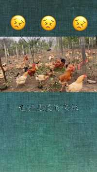 这就是没有文化，不好好读书的下场，只能卖苦力，干最脏最累的活......