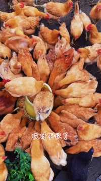 哎，一言难尽啊！