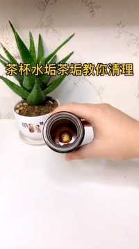 来微视，玩转互动视频。