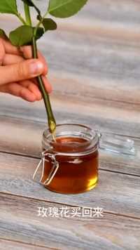 来微视，玩转互动视频。