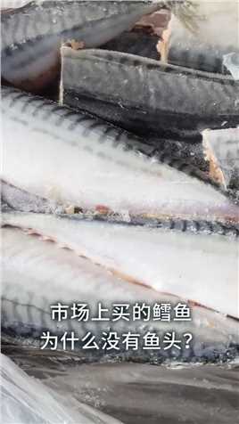市场上买的鳕鱼为什么没有鱼头